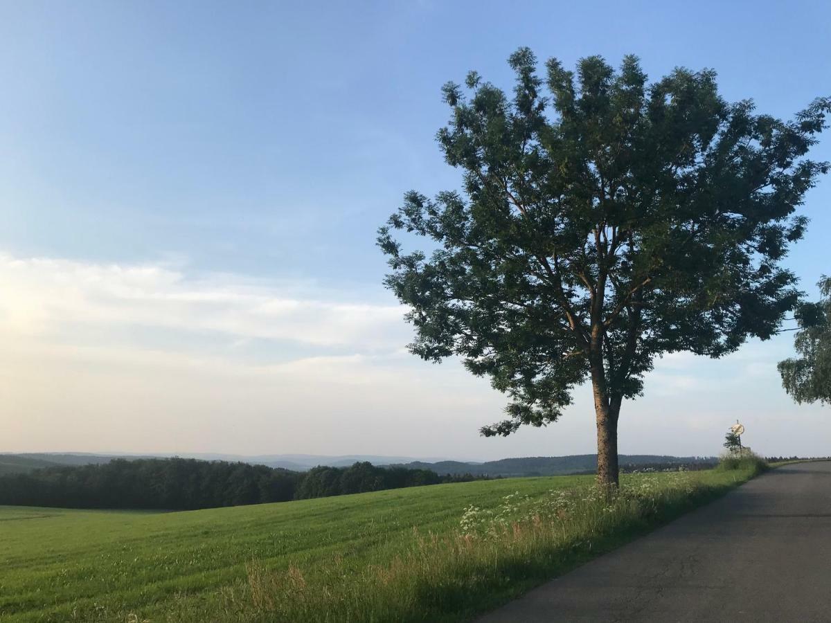 Ferienhaus Sauerland Herscheid Eksteriør billede