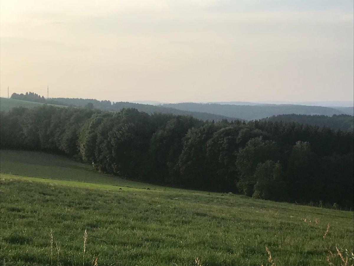 Ferienhaus Sauerland Herscheid Eksteriør billede